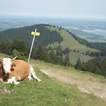 3-zi Atelierdachwohnung Mit Bergblick Seenaehe Und 2 Loggia Bernau am Chiemsee
