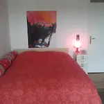 3-zi Atelierdachwohnung Mit Bergblick Seenaehe Und 2 Loggia