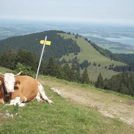 3-zi Atelierdachwohnung Mit Bergblick Seenaehe Und 2 Loggia Bernau am Chiemsee