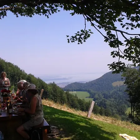 3-zi Atelierdachwohnung Mit Bergblick Seenaehe Und 2 Loggia