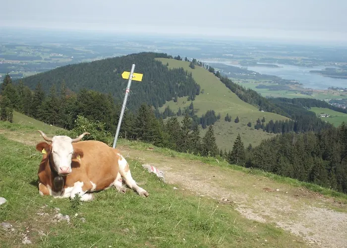 3-zi Atelierdachwohnung Mit Bergblick Seenaehe Und 2 Loggia Bernau am Chiemsee