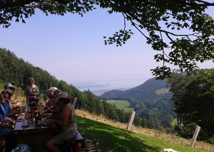 3-zi Atelierdachwohnung Mit Bergblick Seenaehe Und 2 Loggia