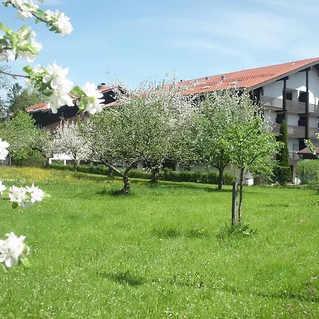 3-zi Atelierdachwohnung Mit Bergblick Seenähe Und 2 Loggia Apartment